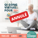 Qi Gong pour 50+
